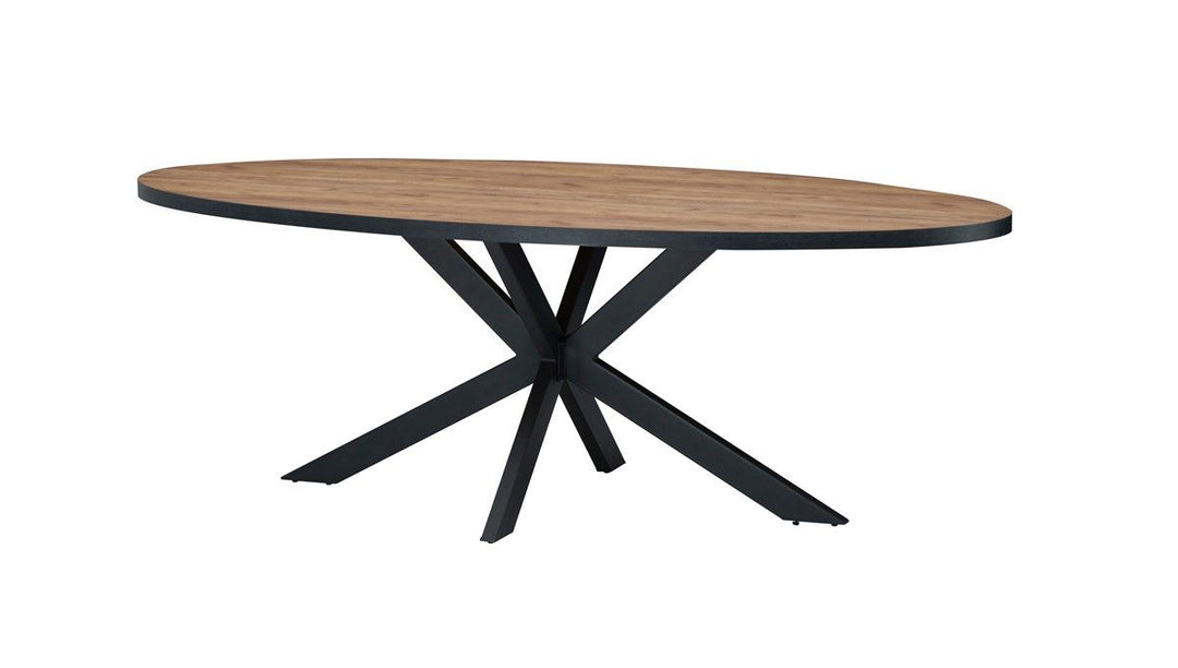 TYC - Table à manger Oxalys - Ovale - 220x110x76cm